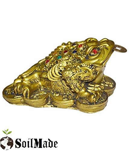 SoilMade Money Frog, Oval Shape, Resin Made, Size Aprox 7cm and 120g, Pack of 1 Money Frog in Box