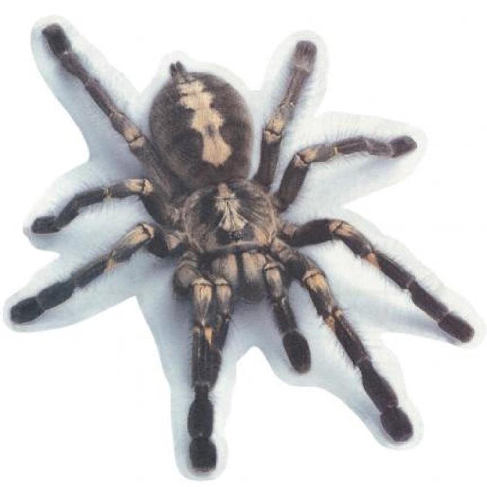 Oulensy Black 3D Car Sticker Simulation Animal Bumper Door Decor Scorpion Spider Lizard Decal - Spider