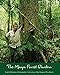 Produktbild The Maya Forest Garden: Eight Millennia of Sustainable Cultivation of the Tropical Woodlands (New Frontiers in Historical Ecology, 6, Band 6)