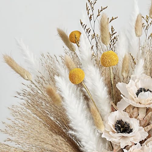 Ramo natural de pasto pampas seco decorativo miniatura 3