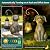 RS FURISON Solar Garden Decor Dog Statues with Lantern,Waterproof Resin Solar Outdoor Statue Decoration for Yard, Lawn, Flower Bed, Backyard, Front Yard, Patio, Balcony – Gift for Dog Lovers
