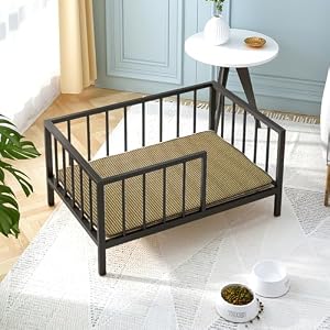 Dog Bed with Rails Elevated Pet Metal Bed Frame with Solid Wood Board and Washable Soft Mat for Medium Dog Indoor or Outdoor Use 252 x 378 Black
