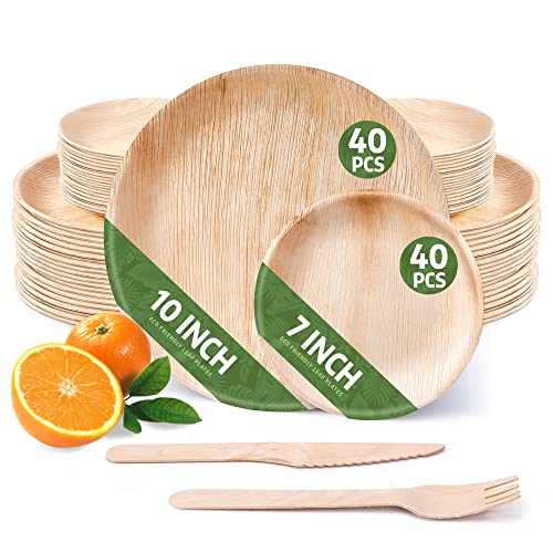 240 Pack of Round Disposable Palm Leaf Plates Set 80 Plates 710 80 Forks 80 Knives Sturdy Elegant Camping Party Home Use
