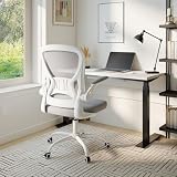 Youhauchair Adjustable Mesh Ergonomic Office Chair with Wheels, Grey