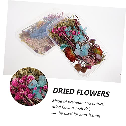 Flores secas naturales mini prensadas para manualidades x2 cajas miniatura 3