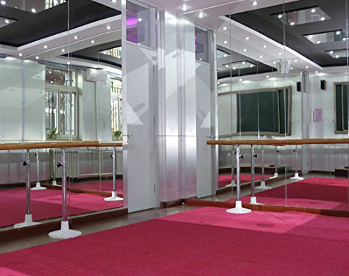 Element CLEAR MIRROR BACKING DAMAGE PROTECTION WINDOW TINTING FILM - 152cm x 8m