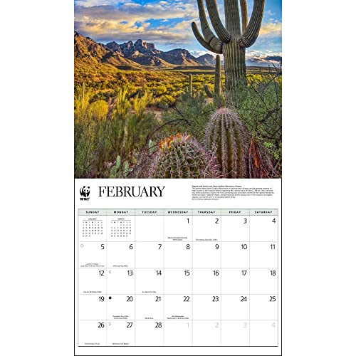 Calendar Ink, American Landscapes Wwf 2023 Wall Calendar #TOP5