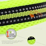 Creation Core 3M Reflective Mesh Padded Dog Collar Adjustable Nylon Outdoor Adventure Pet Collar, Orange M