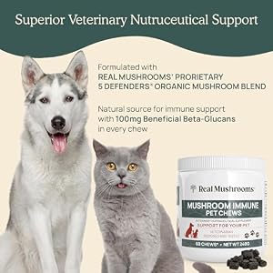 Mushroom Immune Support Pet Chews (60ct) treats for dogs – Immune booster supplements for pets with Ashwagandha, Astragalus, Blueberry, Olive Leaf, Acerola &Gut Health for Dogs and Cats Mushroom Immune Support Pet Chews (60ct) treats for dogs – Immune booster supplements for pets with Ashwagandha, Astragalus, Blueberry, Olive Leaf, Acerola &Gut Health for Dogs and Cats