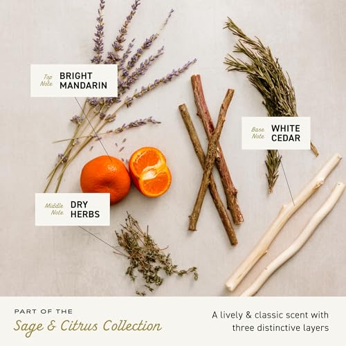 Image of Cremo Sage & Citrus Shave Cream, Astonishingly Superior Ultra-Slick Shaving Cream for Men, Fights Nicks, Cuts and Razor Burn, 6 Fl Oz