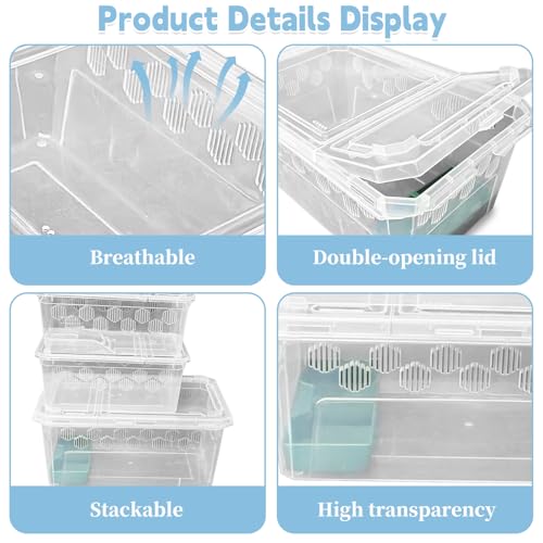 Image of PINVNBY Reptile Feeding Box 6 PCS Snake Breeding Box Lizard Cricket Cage Habitat Hatching Container Transparent Portable Critter Keeper for Spider Scorpion Gecko Tortoise Treefrog (2 Large 4 Small)