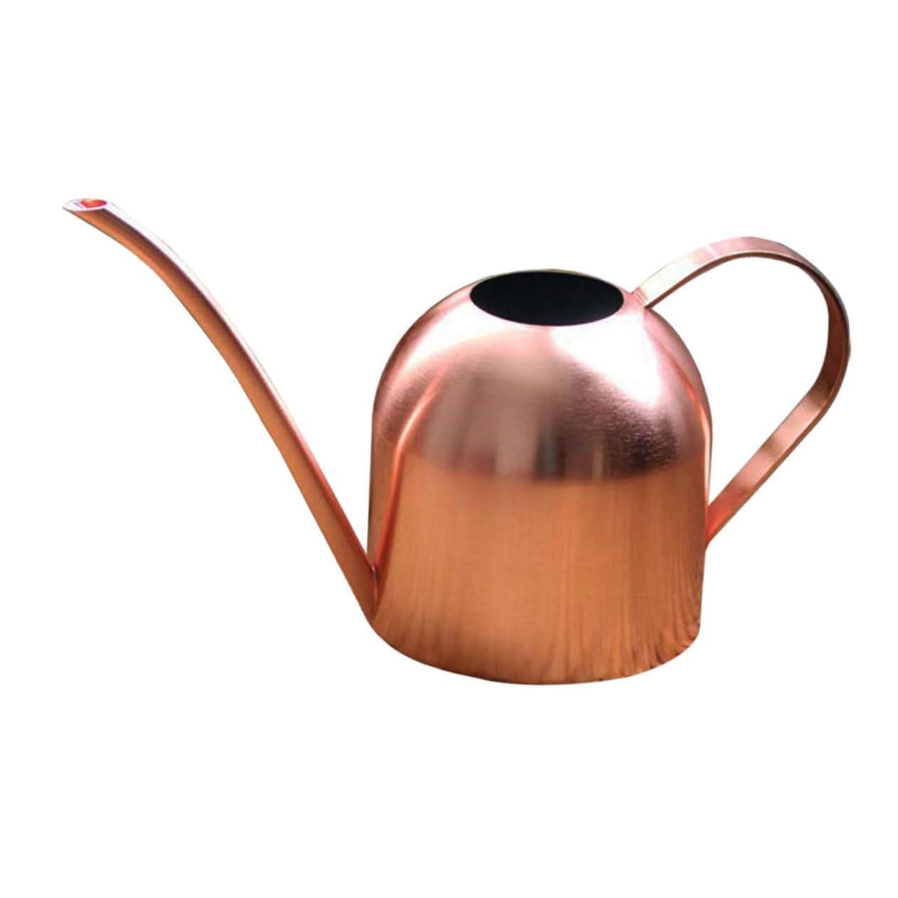 Acciaio Inox Annaffiatoio 500ml Beccuccio da Giardino