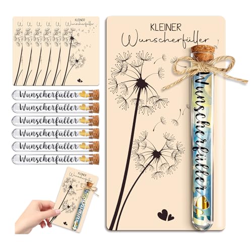 6pcs Wunscherfüller Geldgeschenk aus Holz mit Reagenzglas Kreative Geldverpackung für Geburtstag Hochzeit Konfirmation & Weihnachten Geschenkidee für Frau & Mann