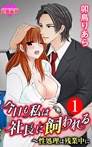 『今日も私は社長に飼われる～性処理は残業中に』