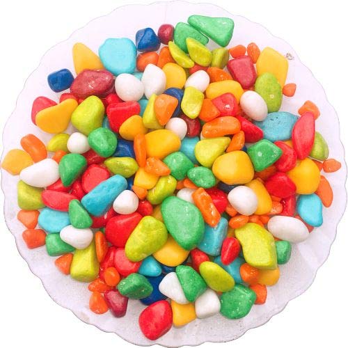 NATURE'S WONDER� Coloured Glossy Pebbles Stones for Home Decoration Art & Craft Aquarium Vase Filler & Plant Pots Marbles (500 gm)