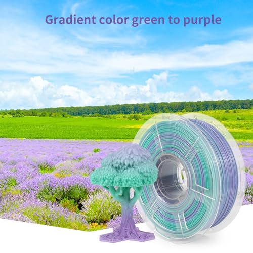 Image of IEMAI PETG Filament 1.75mm, Translucent Dual Color Gradient Green to Purple, High-Speed 3D Printer Filament Up to 600mm /s Printing, 1kg Spool for Artistic Creations & Home Decor