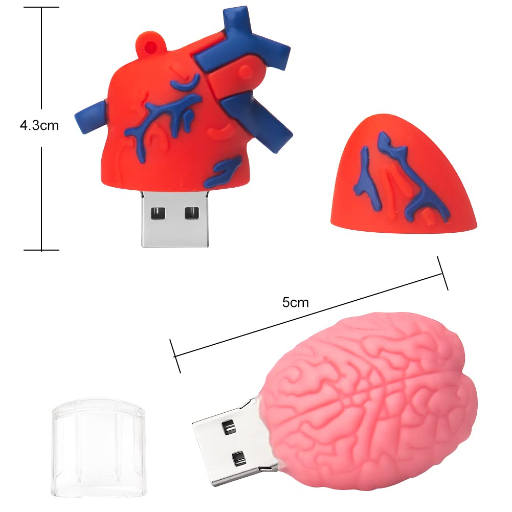5 Pezzi 16GB USB Pen Drive Penna Usb Porta Chiavette Usb Chiave Usb Carino USB Organi Umani Regali per Bambino Amico (5 * 16GB,Organi Umani)