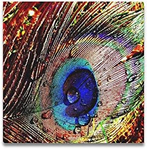 Custom Beautiful Modern Art Abstract Painting Peacock Feather Canvas Print 16" x 16" Inch, Stretched and Framed Artwork Decor Wall Living room Office Art Abstract Peacock Feather Oil Paintings Picture Canvas Print Home Decor