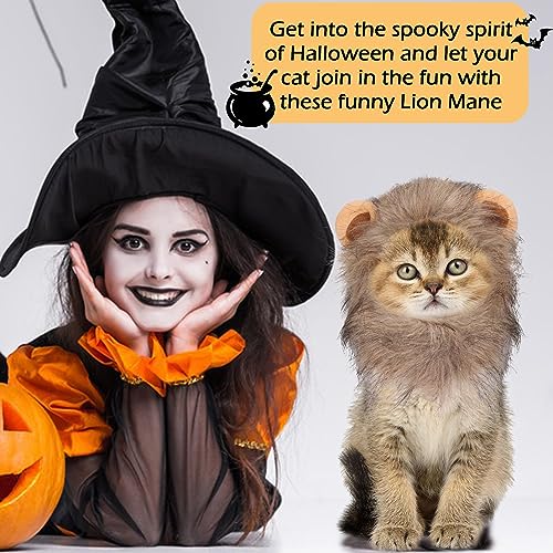 Image of Cat Halloween Costumes - Lion Mane Wigs for Cat Costumes, Adjustable Comfortable Funny Pet Kitten Cats Dress Up Clothing Accessories for Halloween Christmas Festival Party, Grey