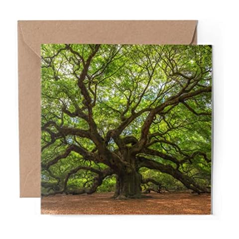 Greeting Card with Oak Tree Design Cover