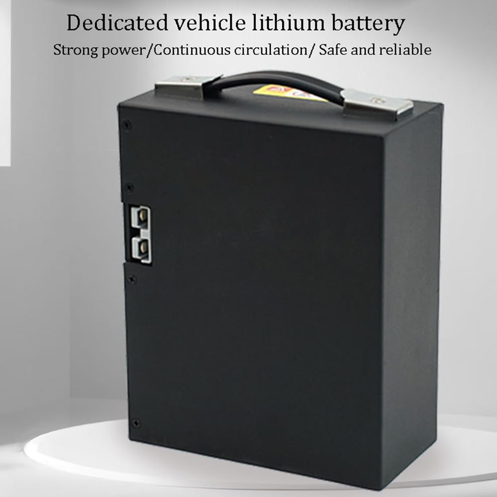24-Volt-Elektrohubwagen mit LiFePO4-Akku (24 V, 25 Ah) für Be- und Entladen von Hubwagen/Handhubwagen