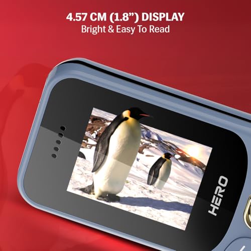 Image of Lava Hero Shakti 2026 Dual Sim Keypad Mobile Phone (with Vibration Alert) | 1.8 inch Display | Super Saving Battery Mode | Stylish Design | Number Talker | (Grey)| Type-C