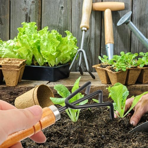 Juego portátil de 14 piezas para jardinería Toyvian miniatura 6