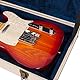 Gator GW-JM ELEC Journeyman Electric Deluxe Wood Case