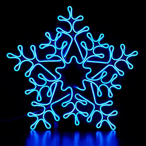 Lightshare 20'' Snowflake Neon Rope Light Decorative Light Indoor Ountdoor Use for Christmas Party Festival Wedding(Blue)