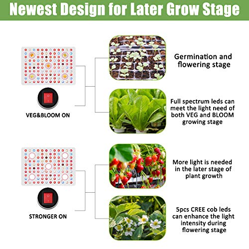 Phlizon CREE COB Series 2500W LED Plant Grow Light Full Spectrum Indoor Plants Light Growing Lamp CREE COB LED Grow Light with Monitor Adjustable Rope -2500W(Actual Power 440watt)