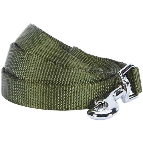 Blueberry Pet Essentials Military Green Dog Leash for Small -5' * 5/8' Dogs | Heavy Duty Nylon Lead | Lightweight Puppy & Cat Leash for Walking & Training