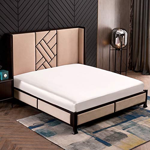 Thxsilk 7A+ Silk Fitted Sheet, 1 Fitted Sheet Only, 100% Mulberry Silk Bottom Sheet, Silk Bed Sheet With Deep Pocket 16", Machine Washable, Durable, Queen Size, White #TOP1
