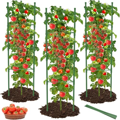 MYMULIKE 3Pack Tomato Support 51 Inch Large Tomato Cages for Garden Trellis Vertical Climbing Plants Support Tomato Stand Rustproof Plant Trellis for Tomatoes Beans Peppers Flowers