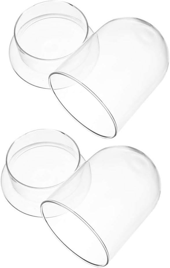 GANAZONO Air Plants Air Plants 2PCS Glass Display Cloche Dome Decorative Clear Glass Dome Display Bell Jar Micro Landscape Bottle Decor Desktop Stand Desktop Stand