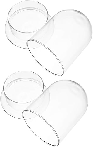 GANAZONO 2 unidades de cristal con cúpula decorativa de cristal transparente cúpula de vitrina tarro de campana de micropaisaje decoración de