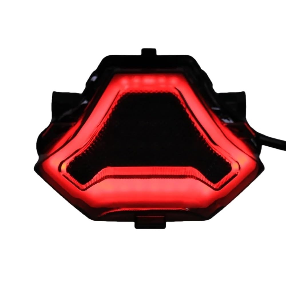 Freno luces trasero LED para rutas nocturnas seguras en moto R3 8