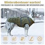 OneTigris Hundejacke, Wasserdichter Winterweste Jacken Hundemantel Mit Bediengriff, Bequeme Ausscheidung, Reißverschluss und Elastisches Design, Einfaches An-und Ausziehen, Reflektierend,M,Armeegrün