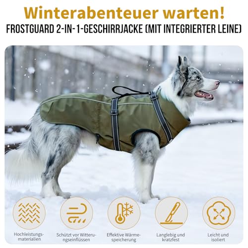 OneTigris Hundejacke, Wasserdichter Winterweste Jacken Hundemantel Mit Bediengriff, Bequeme Ausscheidung, Reißverschluss und Elastisches Design, Einfaches An-und Ausziehen, Reflektierend,M,Armeegrün