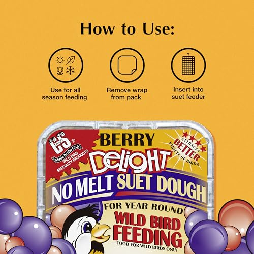 Image of C&S Berry Delight No Melt Suet Dough, Suet Cakes for Wild Birds Including Robins, Blue Jays, Bluebirds, Tanagers, Thrushes and More, 11.75 Ounces, Pack of 8