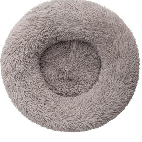 [ADSNS] L xbh   xbh 40 ~ J[27 g ybgxbh LNbV ۉh ΍ ӂӂ   L NbV ~ 킢 h[icӂӂ  薰 ~ 􂦂 Lbg Lp