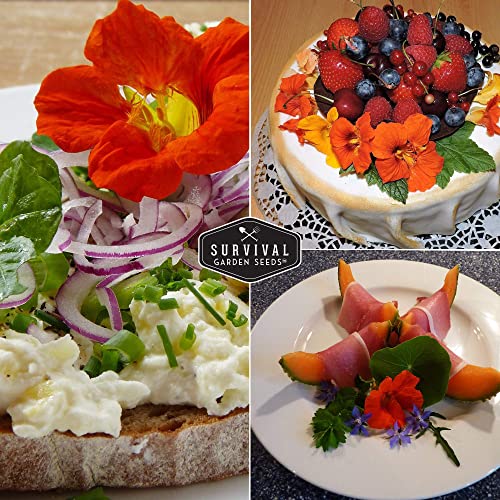 Survival Garden Seeds - Tip Top Mix Nasturtium Seeds - 2 Packs With Instructions To Plant And Grow Edible Flowers & Companion Plants In Your Home Vegetable Garden - Non-Gmo Heirloom Variety #TOP4