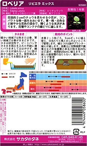 最安値 ベルサイユノのばら 密着マスク ロザリー ラ モール美輝若潤肌 7枚入 9504 の価格比較