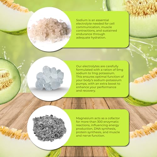 Image of Santa Cruz Paleo Electrolyte Powder, Honeydew Melon Flavor, Sugar Free Hydration Drink Mix with Himalayan Pink Salt, Sea Salt, Magnesium Glycinate, Potassium Chloride, Sweetened with Stevia, 30 Srvgs