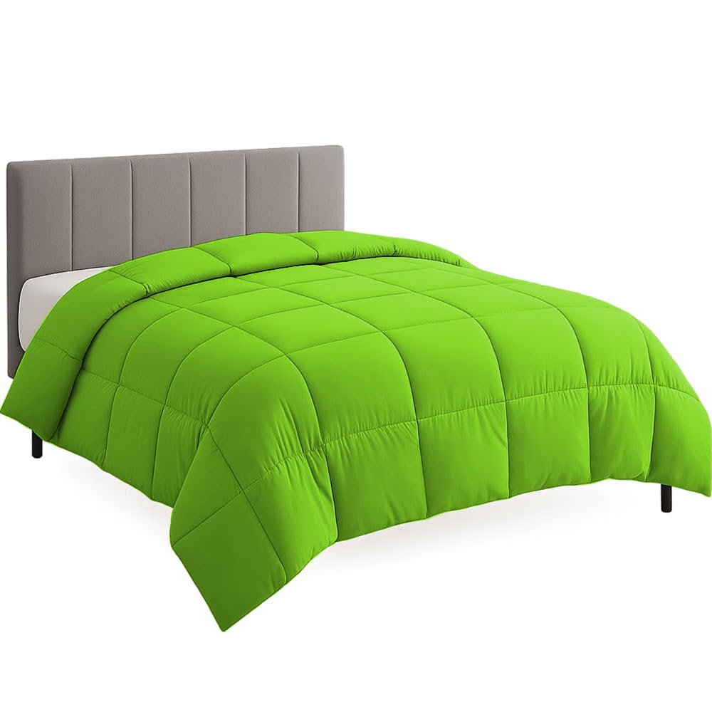 Queen XL Size Comforter Set - All Season Down Alternative Bedding Comforter Set - Quilted Duvet Insert with Corner Tabs - Box Stitched Blanket - Breathable, Soft - Parrot Green