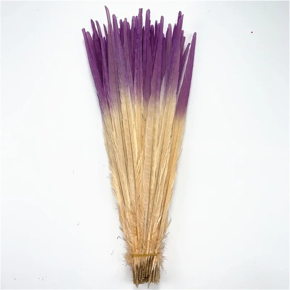 Piume naturali di fagiano, Piume di fagiano naturale con collo ad anello for artigianato, multicolore, confezione da 100, 40-45 cm