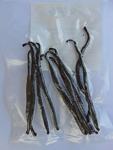 Royal Brand Gourmet Vanilleschoten 10 Stück (10-14 cm lang)