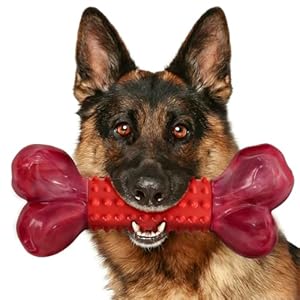 Apasiri Tough Dog Toys for Aggressive Chewers Beef Flavor: 8″ Dog Chew Bone for Large Breed, Nylon & Rubber Chew Toy for Medium Large Dogs