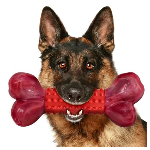 Apasiri Tough Dog Toys for Aggressive Chewers Large Breed, Dog Chew Toys, Durable Dog Toys, Dog Bones Made with Nylon and Rubber, Big Indestructible Dog Toy, Medium Puppy Chew Toys Teething chew Toys