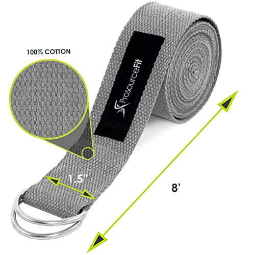 Prosourcefit Metal D-Ring Yoga Strap - Grey #TOP1