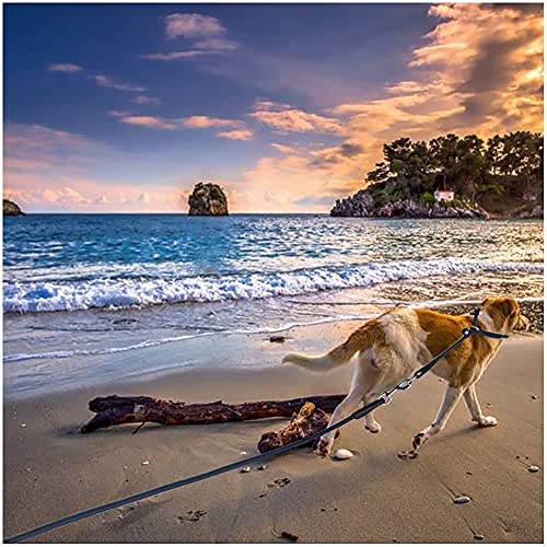 Sepxufore Rope Dog Collar, Adjustable Slip Collar For Dog Training, Classic Rolled Cute Pet Collar For Small Medium And Large Dogs #TOP6